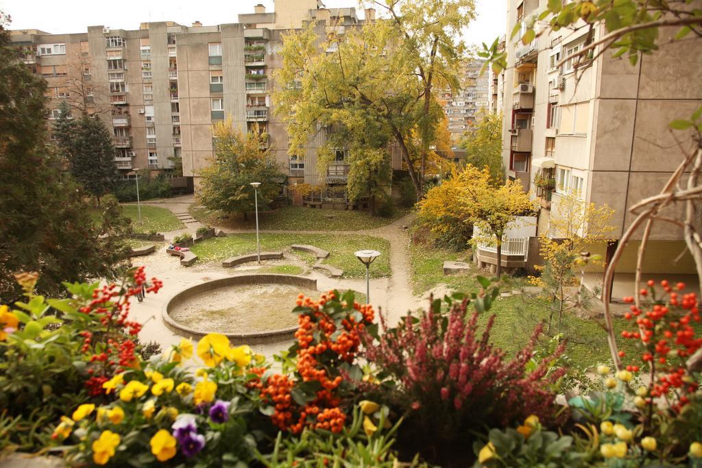 Apartment Spacious Liman Нови-Сад Экстерьер фото